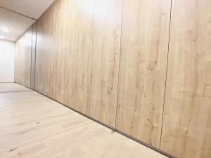 Prodej bytu 3+kk, Brno - Staré Brno, Anenská, 105 m2