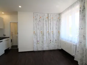 Pronájem bytu 1+kk, Plzeň - Východní Předměstí, Slovanská, 27 m2
