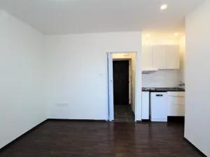 Pronájem bytu 1+kk, Plzeň - Východní Předměstí, Slovanská, 27 m2