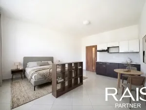 Prodej bytu 1+kk, Brno, Vranovská, 29 m2