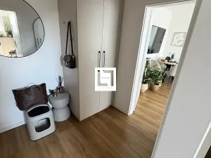 Pronájem bytu 2+kk, Olomouc, Aloise Rašína, 50 m2
