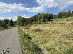 Prodej pozemku pro bydlení, Ratiboř, 2493 m2