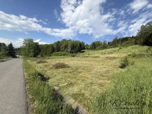 Prodej pozemku pro bydlení, Ratiboř, 2493 m2