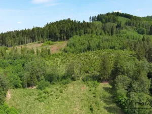 Prodej pozemku pro bydlení, Ratiboř, 2493 m2
