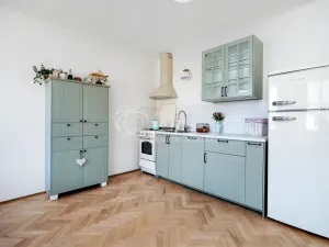 Prodej bytu 1+1, Praha - Vinohrady, Šumavská, 60 m2