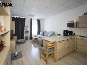 Prodej bytu 2+kk, Jemnice, Tyršova, 56 m2