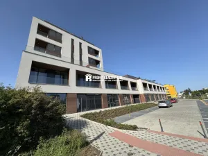 Pronájem bytu 1+kk, Praha - Žižkov, Malešická, 50 m2