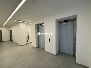 Pronájem bytu 1+kk, Praha - Žižkov, Malešická, 50 m2