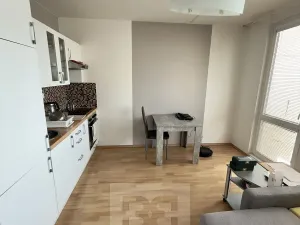 Pronájem bytu 1+kk, Praha - Troja, Svídnická, 27 m2