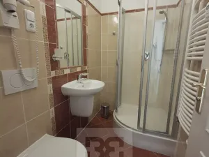 Pronájem bytu 1+kk, Praha - Vinohrady, Balbínova, 14 m2