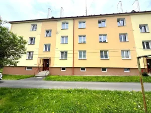 Prodej bytu 2+1, Mariánské Lázně, Skalníkova, 55 m2