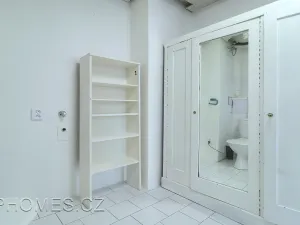 Pronájem bytu 1+1, Praha - Nové Město, Na Moráni, 35 m2