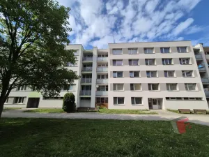 Prodej bytu 3+1, Veselí nad Lužnicí - Veselí nad Lužnicí I, Blatské sídliště, 78 m2