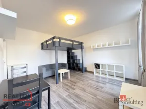 Pronájem bytu 1+kk, Plzeň - Východní Předměstí, Lobezská, 40 m2
