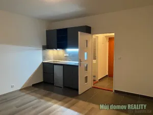 Pronájem bytu 1+kk, Praha - Vysočany, Freyova, 22 m2