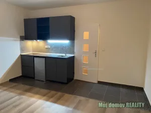 Pronájem bytu 1+kk, Praha - Vysočany, Freyova, 22 m2