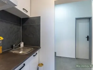 Pronájem bytu 2+1, Praha - Břevnov, Na břevnovské pláni, 30 m2