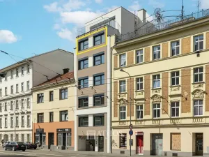 Prodej bytu 2+kk, Brno, Křenová, 59 m2