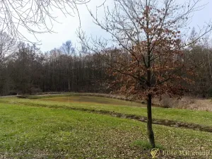 Prodej pozemku pro bydlení, Lomnice, 2163 m2