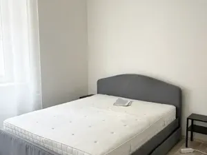 Pronájem bytu 1+1, Praha, V předpolí, 43 m2