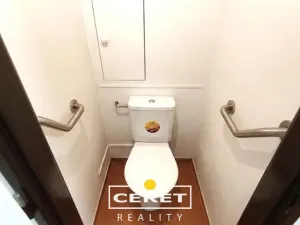 Prodej bytu 2+1, Žatec, Podměstí, 55 m2