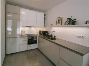 Pronájem bytu 1+kk, Plzeň, Kollárova, 56 m2
