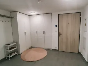 Pronájem bytu 1+kk, Plzeň, Kollárova, 56 m2