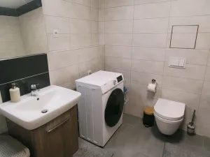 Pronájem bytu 1+kk, Plzeň, Kollárova, 56 m2