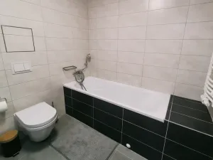 Pronájem bytu 1+kk, Plzeň, Kollárova, 56 m2
