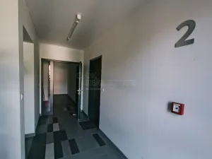 Pronájem bytu 1+kk, Plzeň, Kollárova, 56 m2