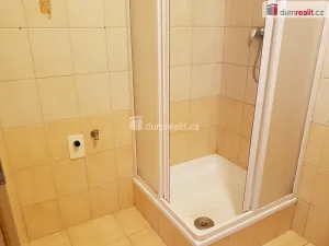 Pronájem bytu 1+1, České Budějovice - České Budějovice 3, B. Smetany, 44 m2