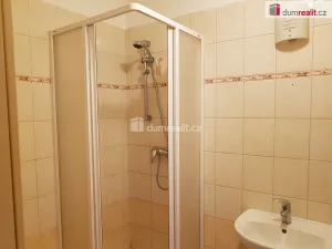 Pronájem bytu 1+1, České Budějovice - České Budějovice 3, B. Smetany, 44 m2