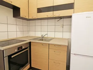 Pronájem bytu 1+kk, Brno - Zábrdovice, Francouzská, 40 m2