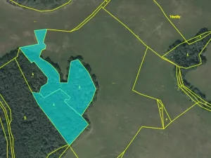 Prodej lesa, Dobršín, 100734 m2