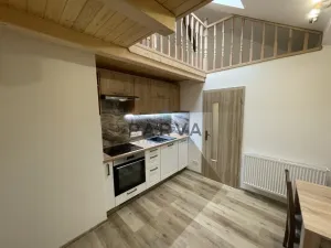 Pronájem bytu 1+1, Plzeň - Jižní Předměstí, Skvrňanská, 45 m2