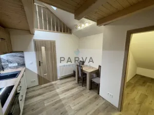 Pronájem bytu 1+1, Plzeň - Jižní Předměstí, Skvrňanská, 45 m2