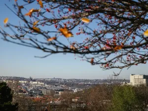 Prodej bytu 2+kk, Praha, Jana Želivského, 39 m2