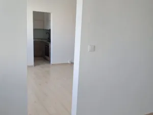 Pronájem bytu 2+1, Bílovec, Radotínská, 46 m2