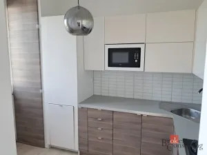 Pronájem bytu 2+1, Bílovec, Radotínská, 46 m2