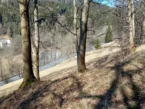 Prodej rodinného domu, Jáchymov, tř. Čs. armády, 203 m2