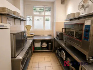 Pronájem restaurace, Praha - Bubeneč, 497 m2
