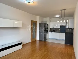Pronájem bytu 3+kk, Praha - Háje, Jurkovičova, 78 m2