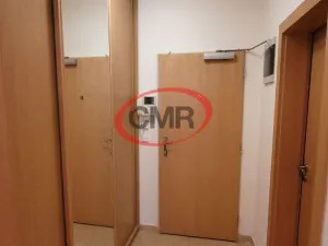 Pronájem bytu 1+kk, Praha, Lublaňská, 38 m2