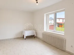 Prodej vícegeneračního domu, Olešná, 170 m2