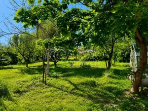 Prodej vícegeneračního domu, Olešná, 170 m2