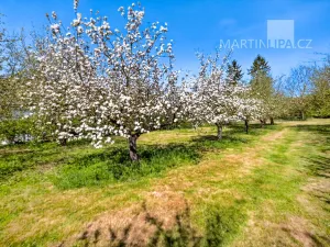 Prodej pozemku pro bydlení, Kamenný Přívoz - Hostěradice, 880 m2