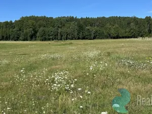 Prodej chalupy, Záboří - Dobčice, 170 m2