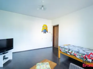 Prodej bytu 3+1, Moravská Třebová - Předměstí, Mlýnská, 77 m2