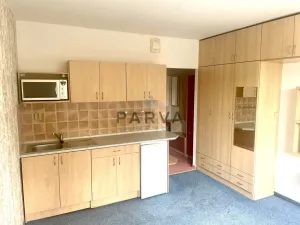 Pronájem bytu 1+kk, Plzeň - Doubravka, Lesní, 20 m2