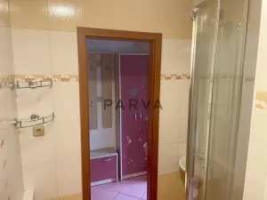 Pronájem bytu 1+kk, Plzeň - Doubravka, Lesní, 20 m2